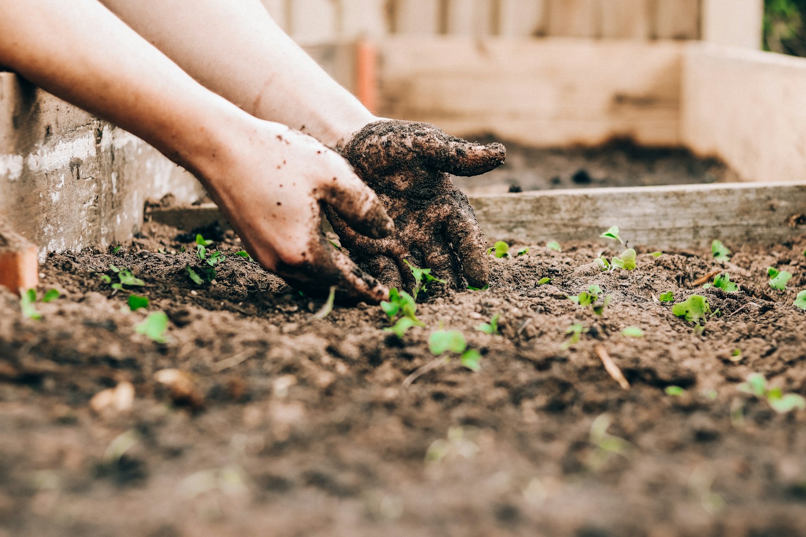 Est-ce que le jardinage est bon pour la santé ?